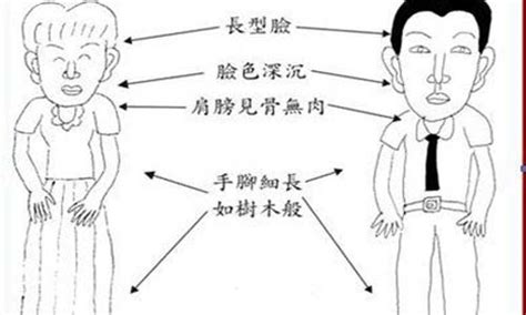 火帶木局|深入总结五形之木形人的相理分析 命运风水面相手相